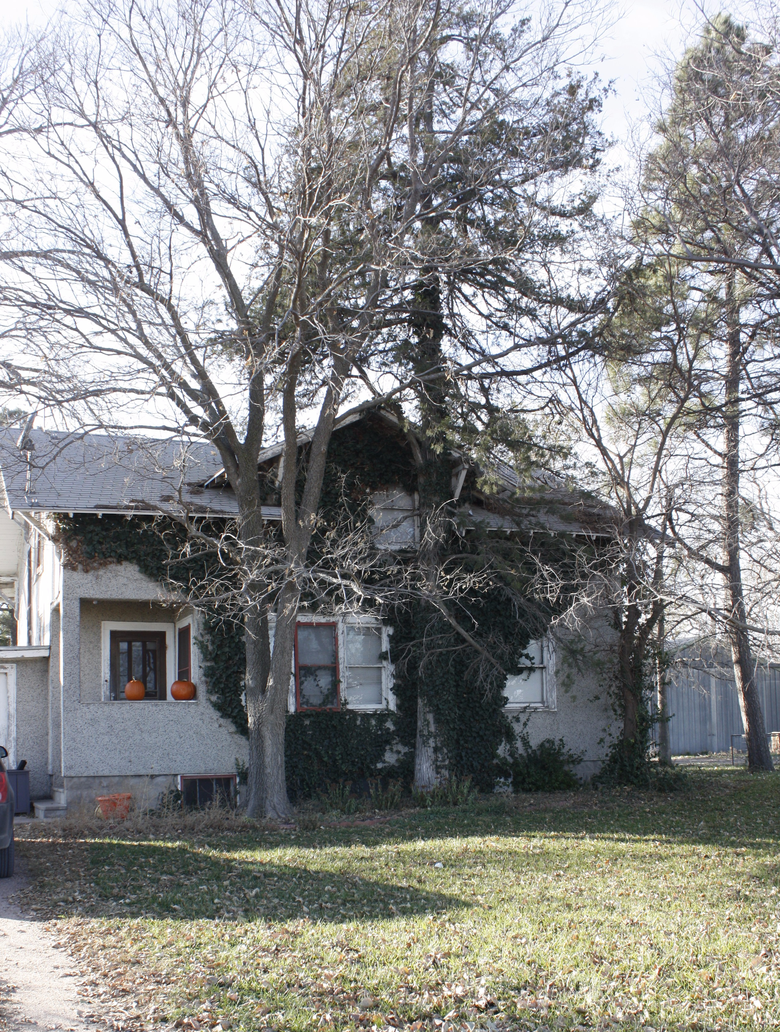 farmhouse, muscular dystrophy